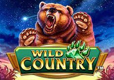 Игровой автомат Wild Country